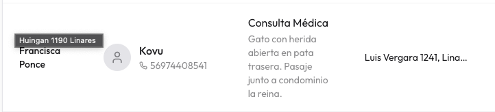 Dashboard de Vetly mostrando la cita de Kovu con el motivo capturado automáticamente: 'Gato con herida abierta en pata trasera'